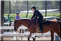 4H-District-17-1712.jpg