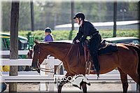 4H-District-17-1713.jpg