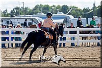 4H-District-17-1732.jpg
