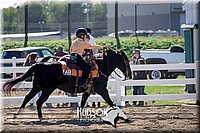 4H-District-17-1735.jpg