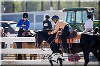 4H-District-17-1745.jpg
