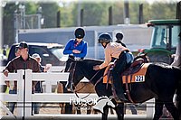 4H-District-17-1747.jpg