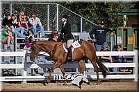 4H-District-17-1775.jpg