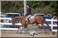 4H-District-17-1780.jpg