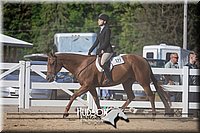 4H-District-17-1782.jpg