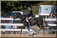 4H-District-17-1811.jpg