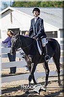 4H-District-17-1816.jpg