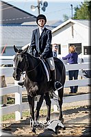 4H-District-17-1818.jpg