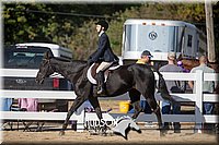 4H-District-17-1823.jpg