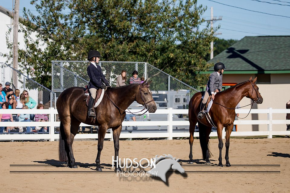 4H-District-17-1900.jpg