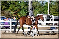 4H-District-17-1885.jpg