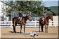 4H-District-17-1901.jpg