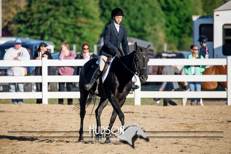 4H-District-17-2022.jpg