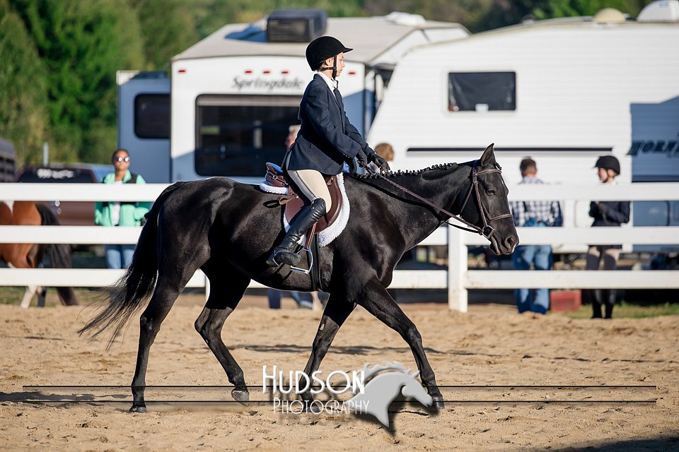 4H-District-17-2024.jpg
