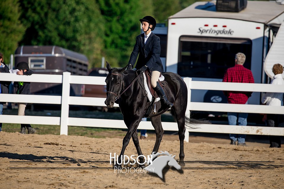 4H-District-17-2028.jpg