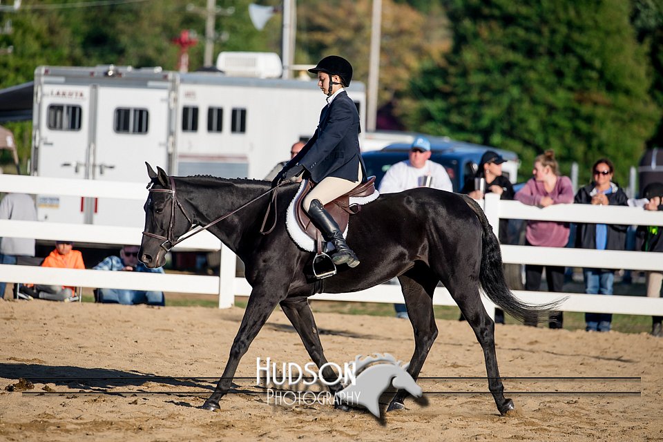 4H-District-17-2029.jpg