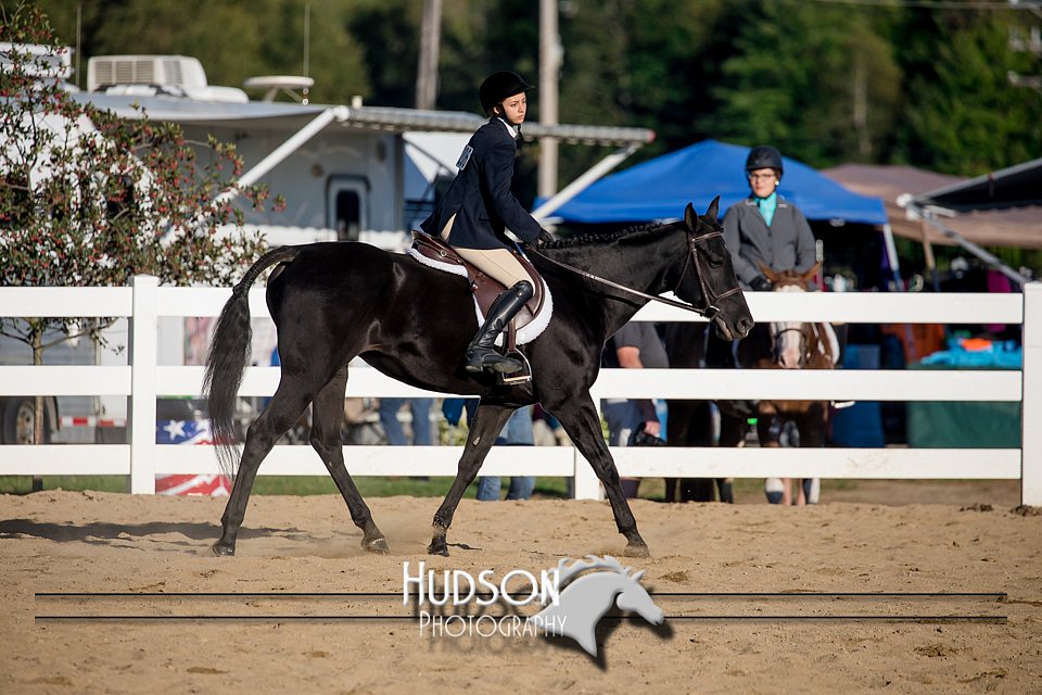 4H-District-17-2032.jpg