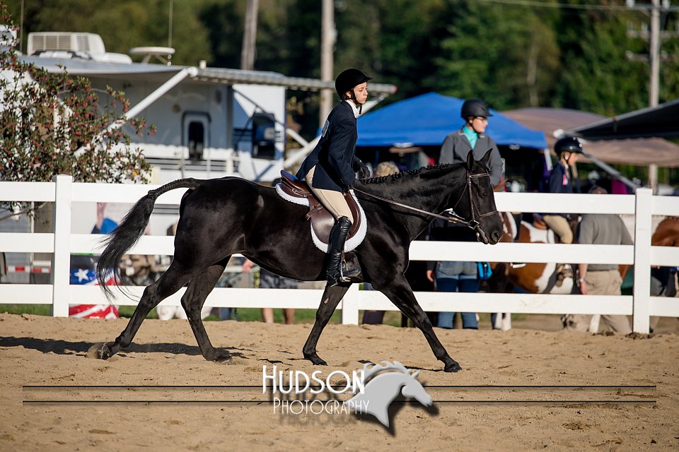 4H-District-17-2038.jpg