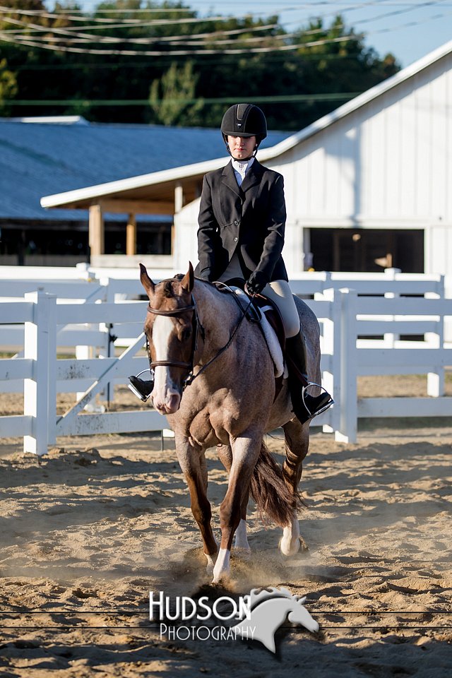 4H-District-17-2041.jpg