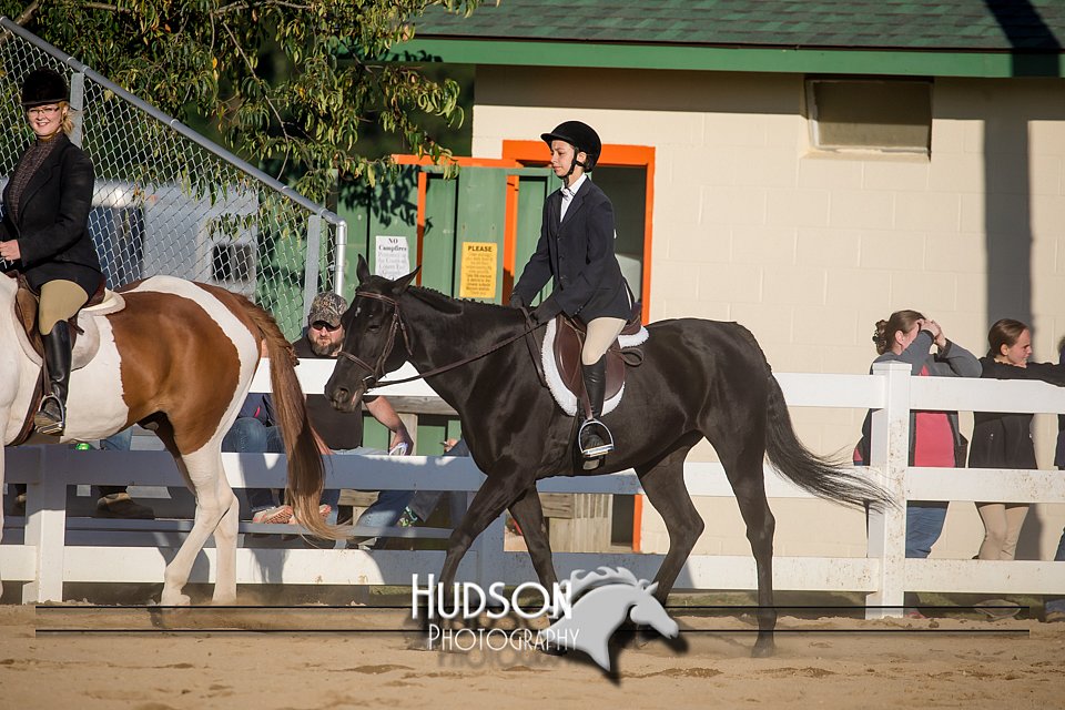 4H-District-17-2044.jpg