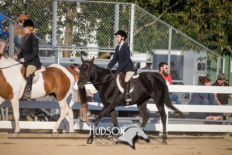 4H-District-17-2045.jpg