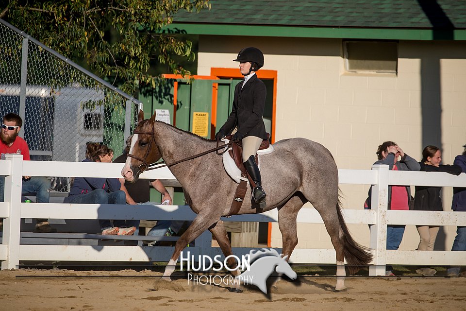 4H-District-17-2046.jpg