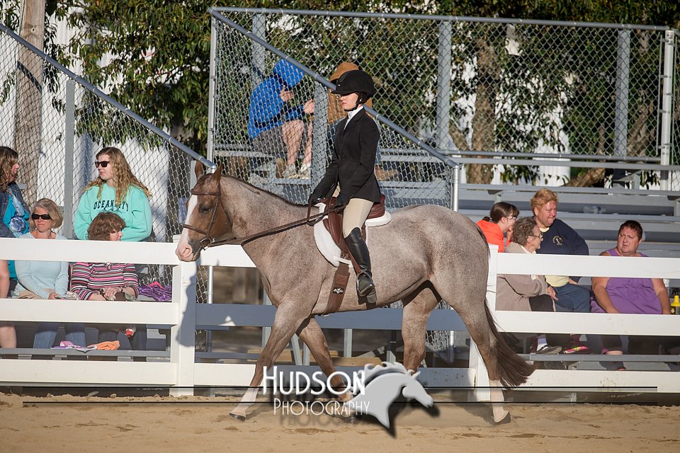 4H-District-17-2048.jpg