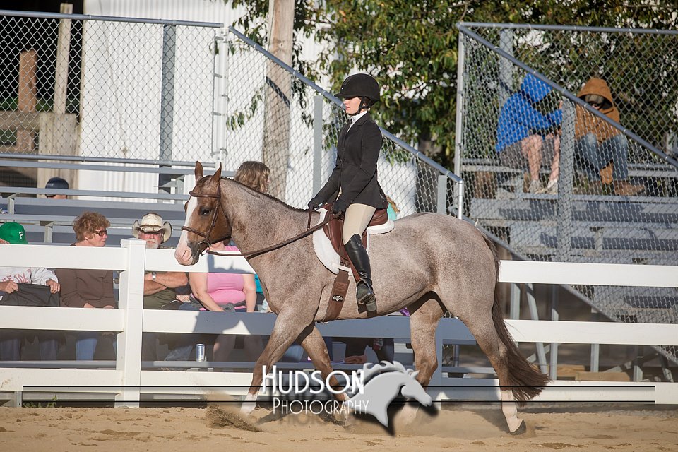 4H-District-17-2049.jpg