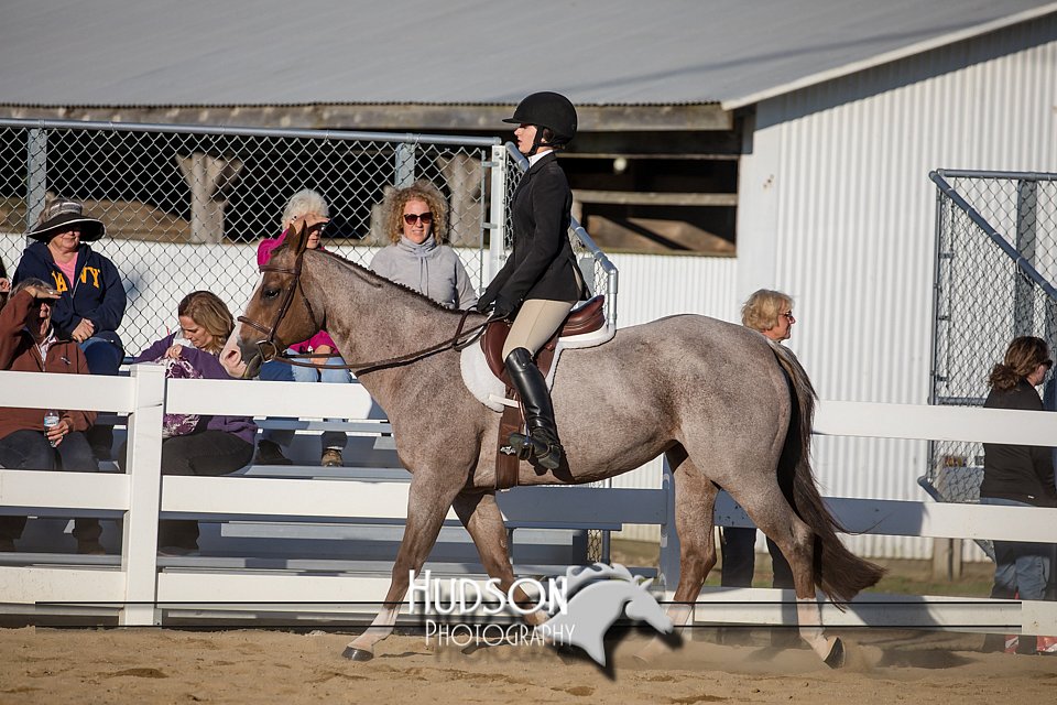 4H-District-17-2050.jpg
