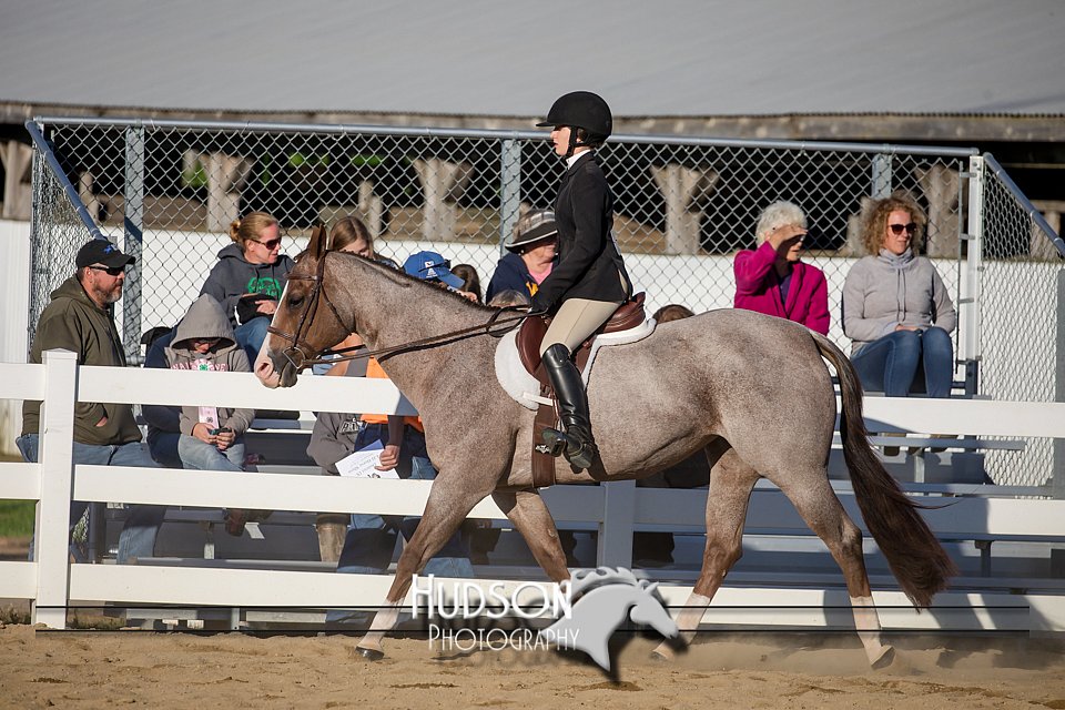 4H-District-17-2051.jpg