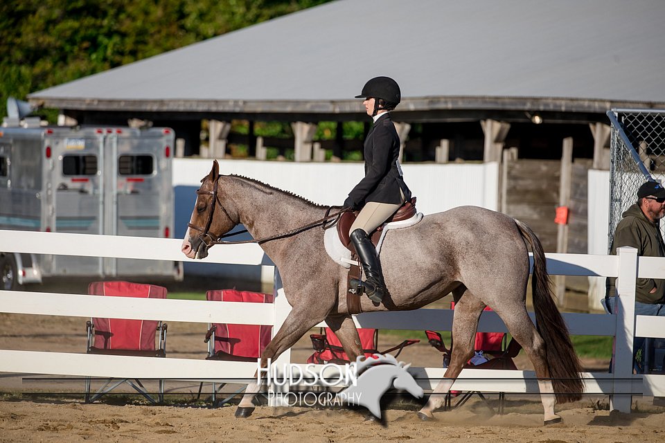 4H-District-17-2052.jpg