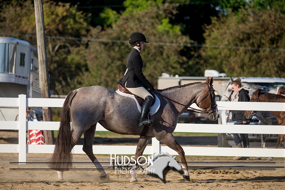 4H-District-17-2053.jpg