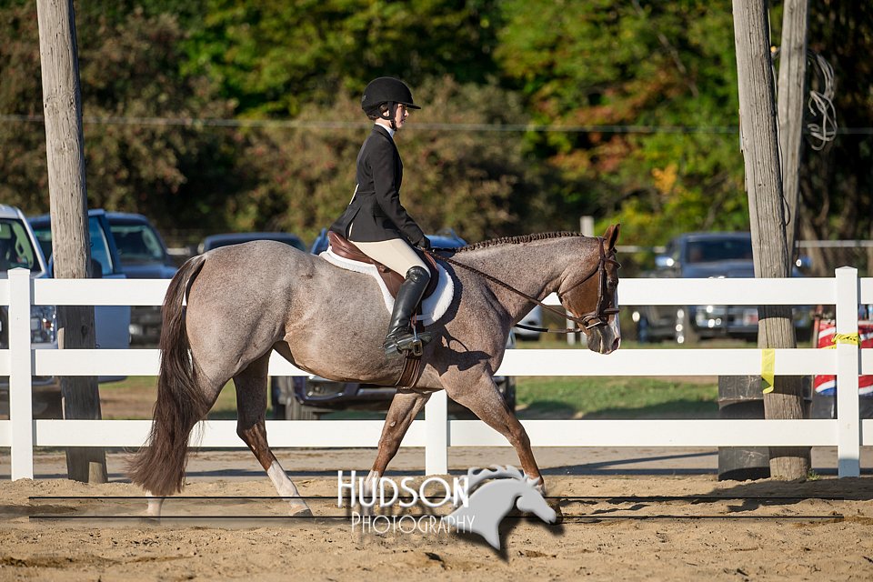 4H-District-17-2054.jpg