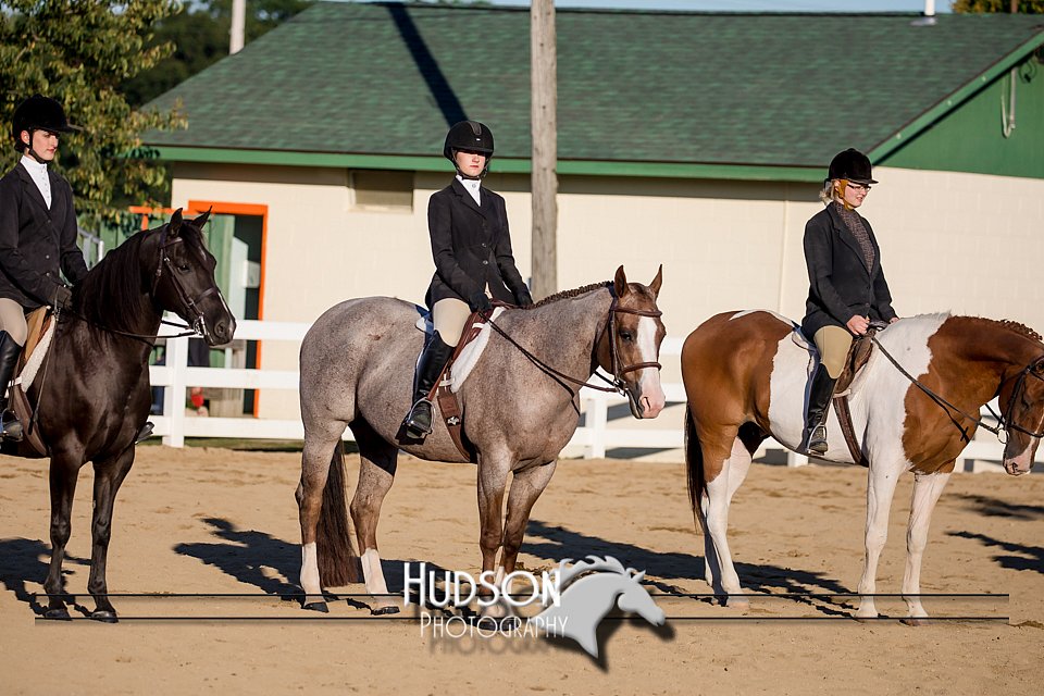 4H-District-17-2059.jpg