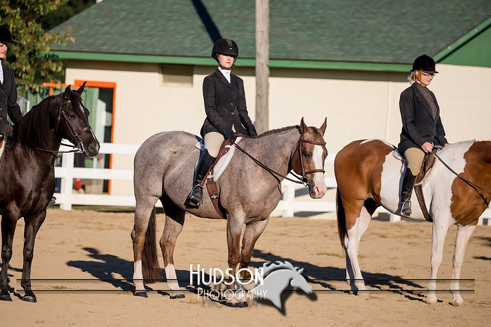 4H-District-17-2062.jpg