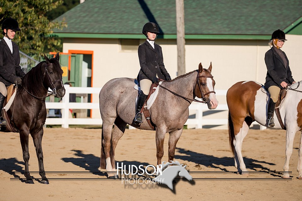 4H-District-17-2065.jpg