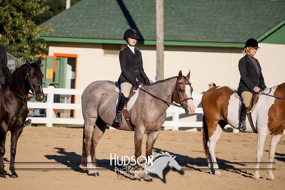 4H-District-17-2067.jpg