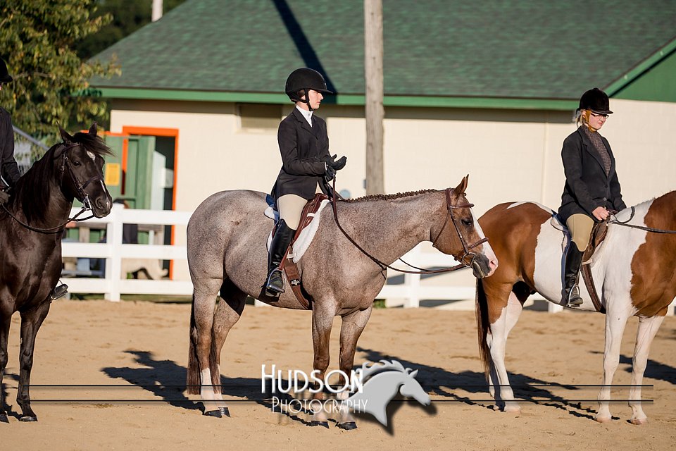 4H-District-17-2070.jpg