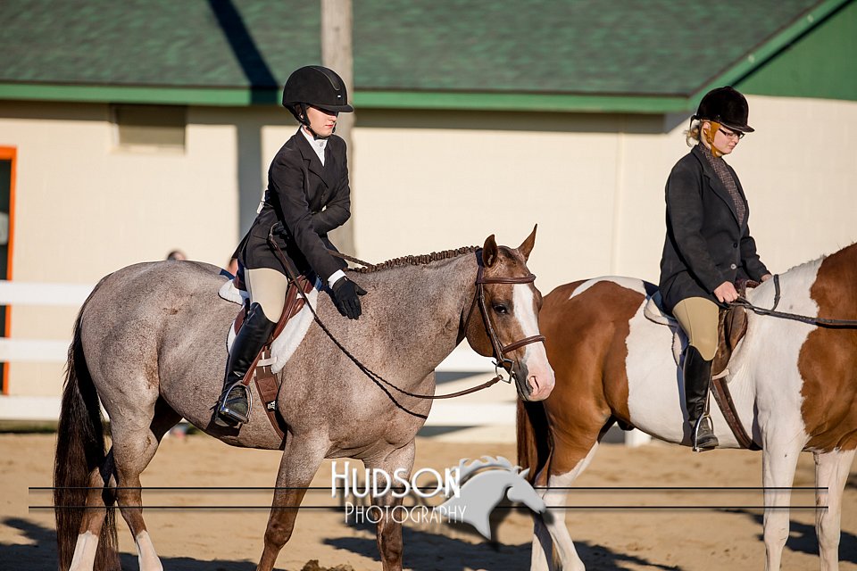 4H-District-17-2077.jpg