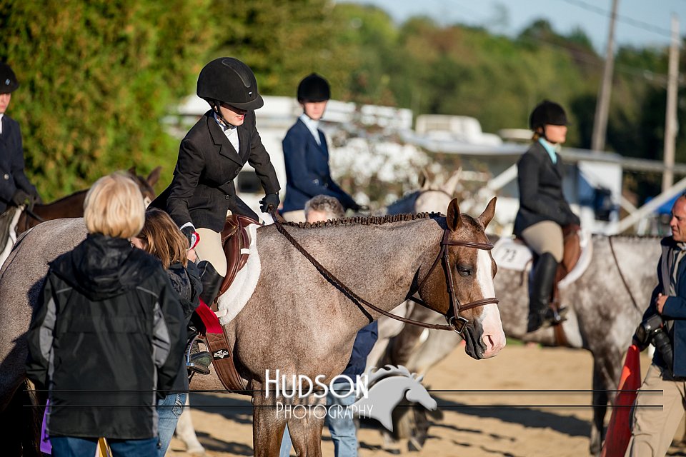 4H-District-17-2081.jpg