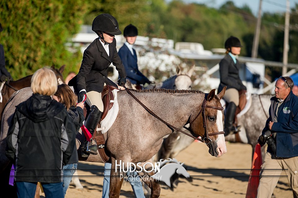 4H-District-17-2082.jpg