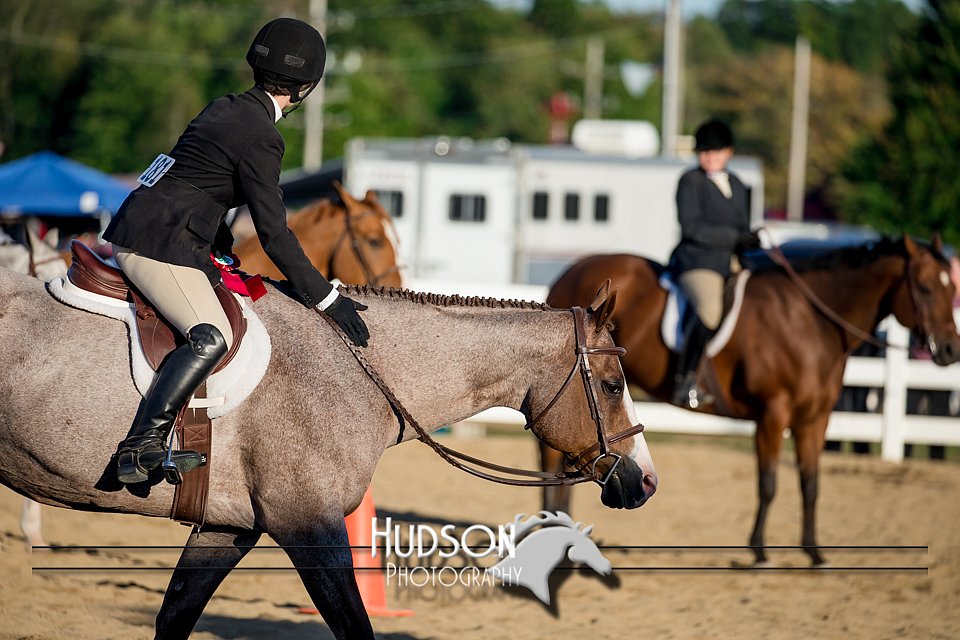 4H-District-17-2084.jpg