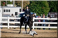 4H-District-17-2034.jpg