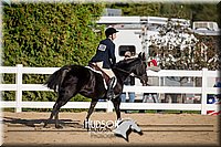 4H-District-17-2037.jpg