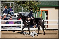 4H-District-17-2039.jpg