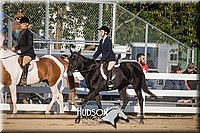 4H-District-17-2045.jpg
