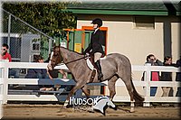 4H-District-17-2046.jpg