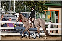 4H-District-17-2047.jpg