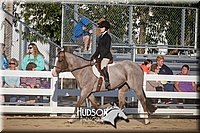 4H-District-17-2048.jpg