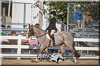 4H-District-17-2049.jpg